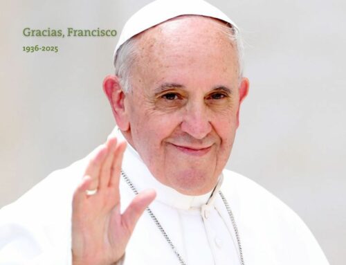 Gracias, Señor, por Francisco